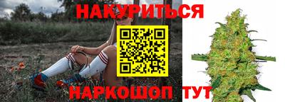 гашик Бузулук