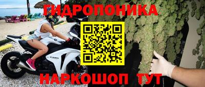 apvp Будённовск