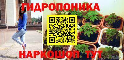 гашик Бузулук