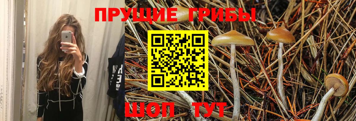 Озёрск  Псилоцибиновые грибы Magic Shrooms  Галлюциногенные грибы Psilocybine cubensis  Вход с VPN 